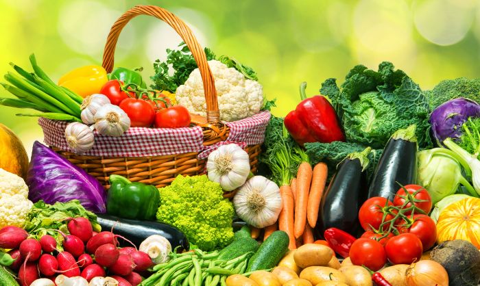Chương trình đào tạo Xử lý Sau Thu Hoạch cho Các Loại Cây Trồng
